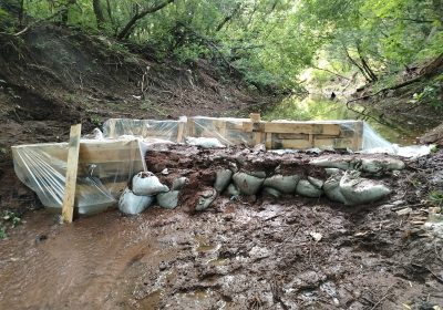 Оренбург Медиа — новости Оренбурга и области