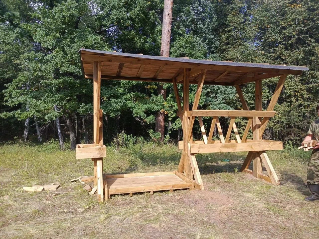 звериная столовая