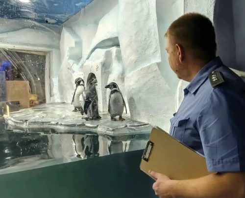 океанариум россельхознадзор