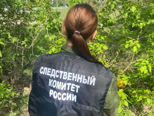 гибель электрика от удара током