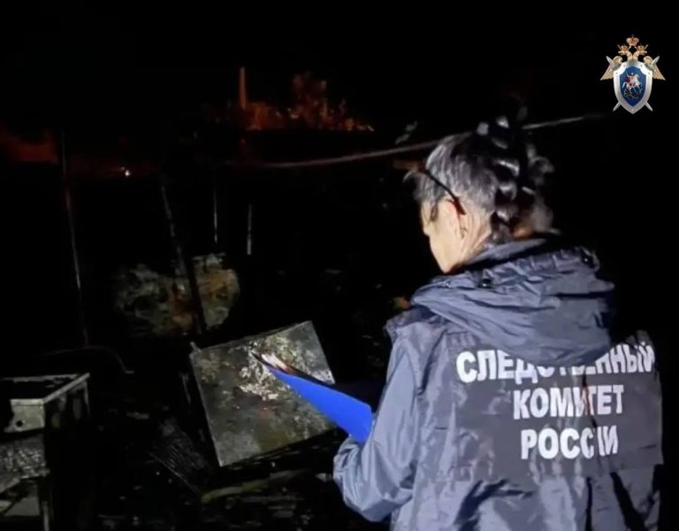 следственный комитет уголовное дело пожар краснохолм погиб ребенок