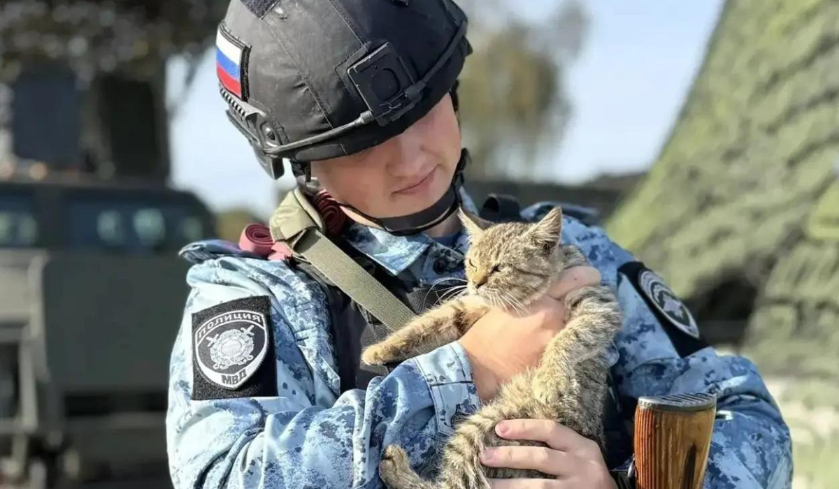 полиция кот Тигр Курский район