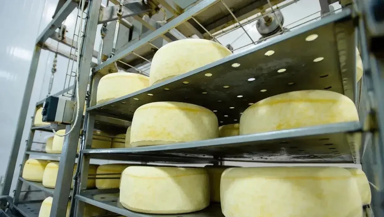 сельхозпродукция оренбуржья